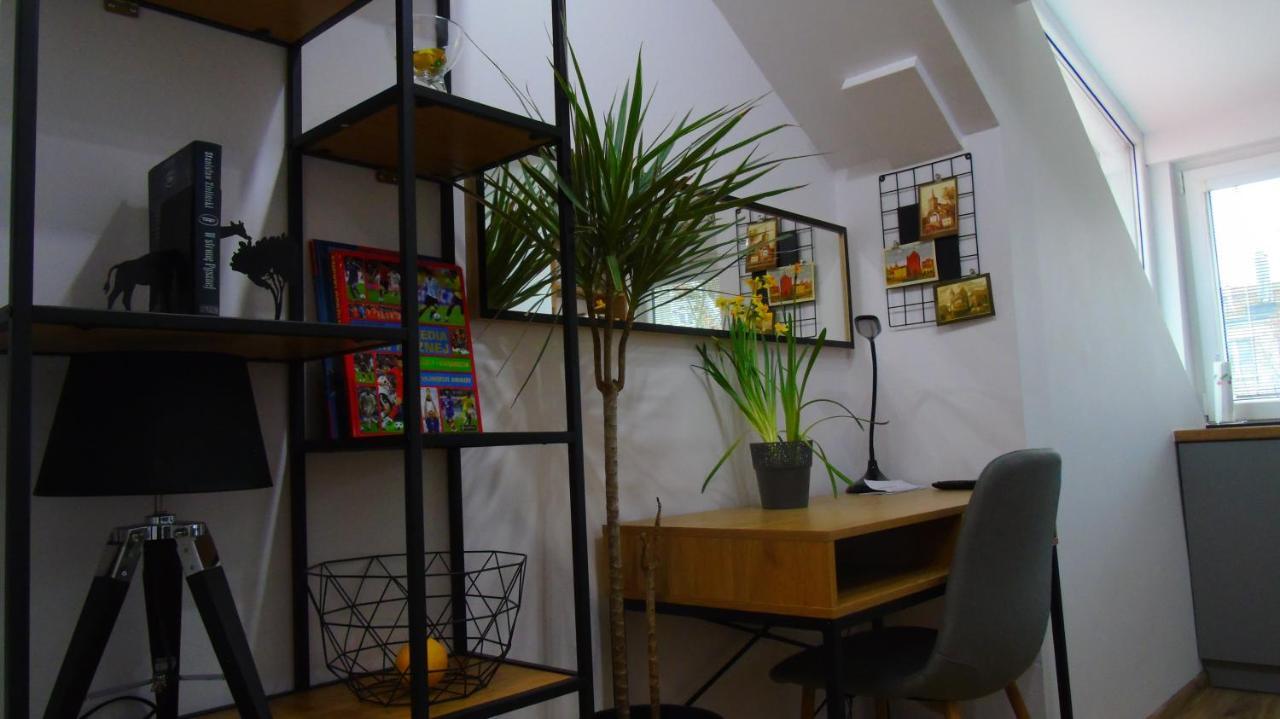 Copernicus 11 Apartment *